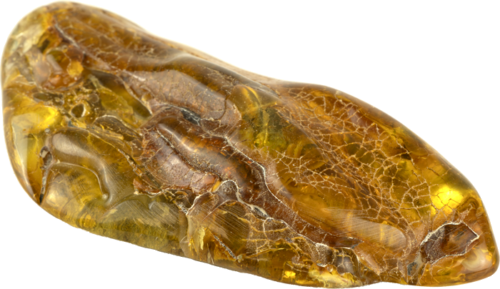 18,25 гр. Самороден кехлибар с фосил от кора на дърво (3)