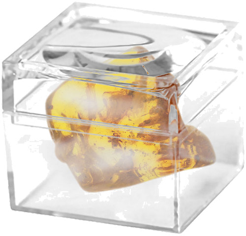 10,60 g Amber Nugget with Spider inclusion (2)