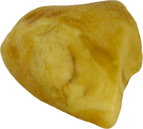 8,15 g Jūrinio Gintaro grynuolis (1)