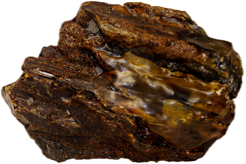 450 g Gintaro grynuolis (2)