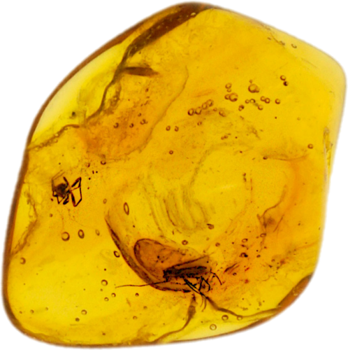 1,05 g Amber Nugget with inclusion (1)