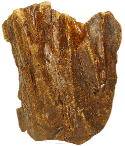 324 g Amber Nugget (1)