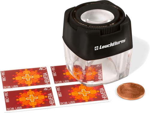 Pastatoma lupa Lu 8x (1)