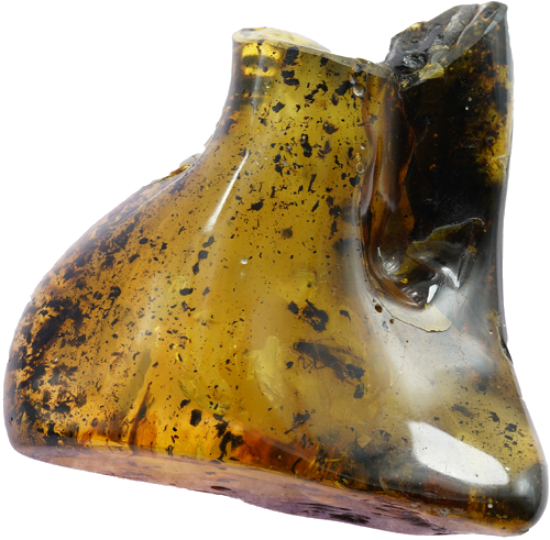 Самородок янтаря с инклюзом 39,25 г (1)