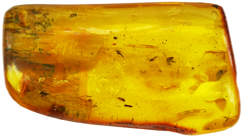 18,75 g  Amber Nugget with inclusion (3)