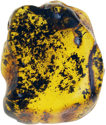 13,00 g Amber nugget (1)