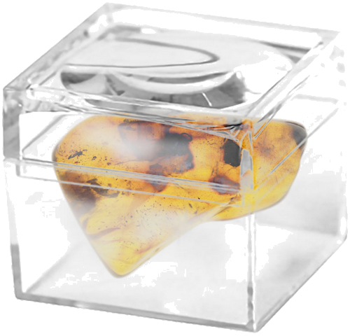 7,50 g Amber Nugget with inclusion (2)