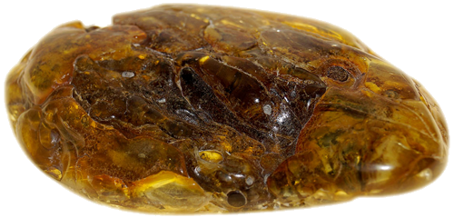 16,30 g Amber nugget with tree bark inclusion (3)