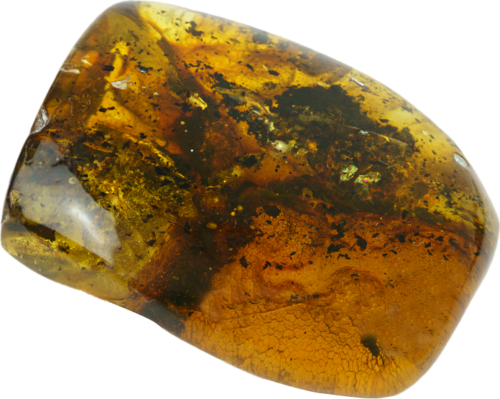 34.20 g Amber nugget (2)