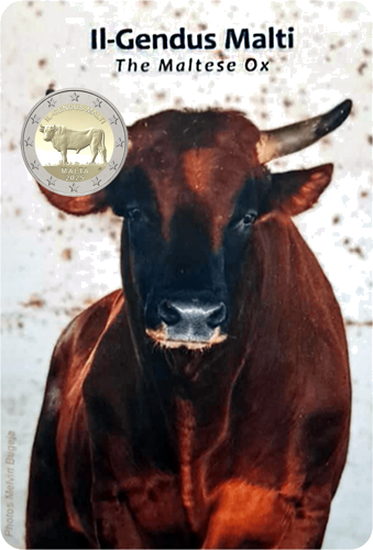 2025 Malta Jautis Il Gendus Malti 2 eurų moneta BU kortelėje (2)