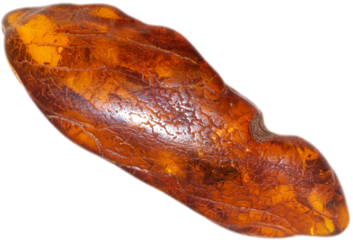 5,30 g Amber Nugget with spider inclusion (2)