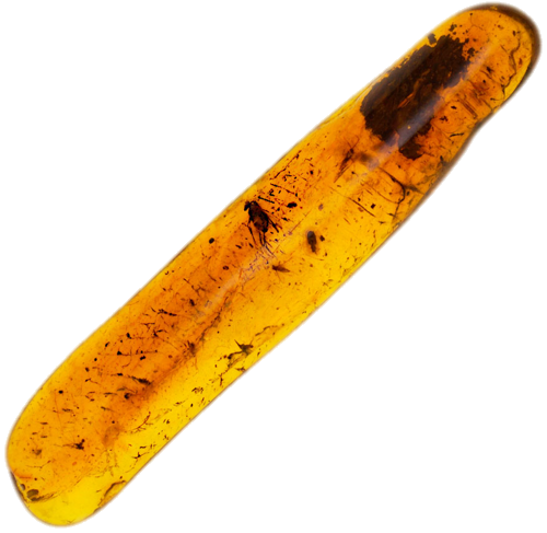 2,40 g Amber Nugget with inclusion (1)