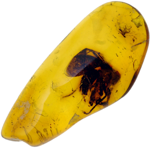 0,70 g Amber Nugget with inclusion (1)