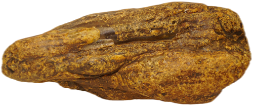 308 g Amber Nugget (1)