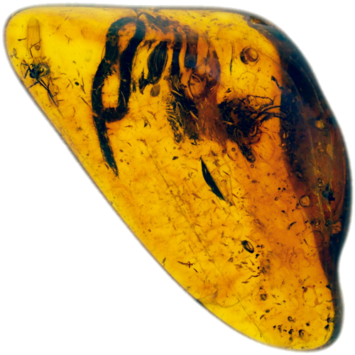 1,40 g Amber Nugget with inclusions (1)