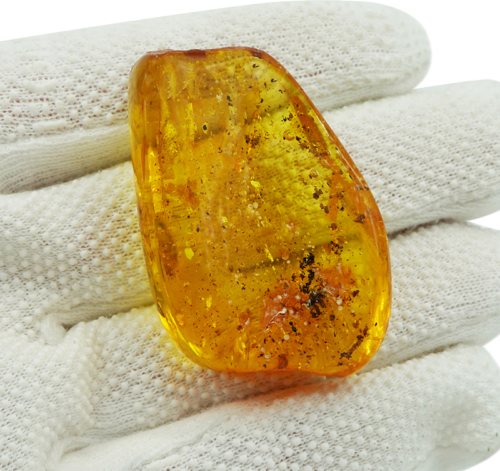 16,35 g Amber Nugget with inclusion (2)