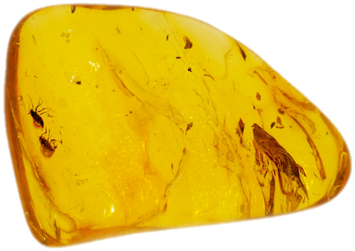 2,60 g Amber Nugget with inclusion (1)
