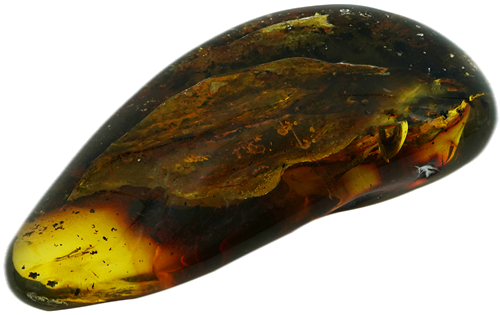 50,45 g Amber Nugget with spider inclusion (3)