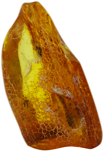 6,75 g Amber Nugget with inclusion (1)