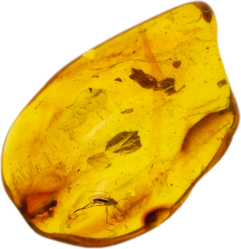 1,60 гр. Самороден кехлибар с фосил (1)