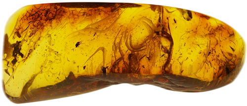 32,50 g Amber Nugget with inclusion (1)