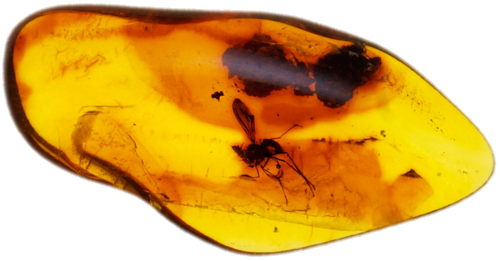 1,15 g Amber Nugget with inclusion (1)