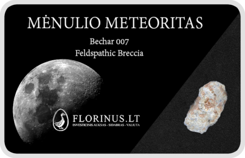 Lunar Meteorite (1)
