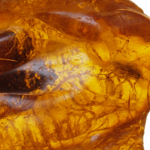 4,40 g Amber Nugget with inclusion (2)