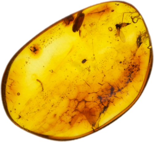 0,90 g Amber Nugget with inclusion (1)