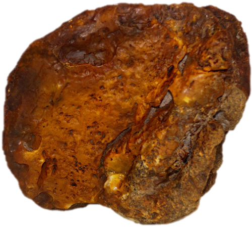 584 g Amber Nugget (2)