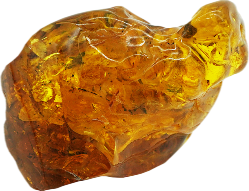 87,25 g Amber Nugget with bug inclusion (4)