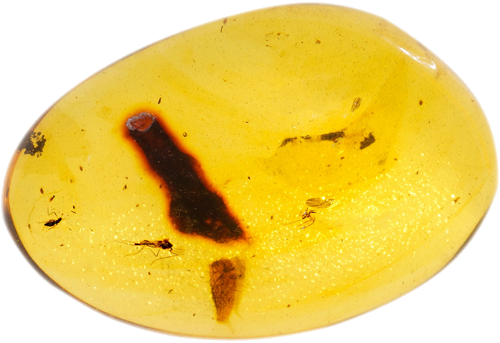 5,80 g Amber Nugget with inclusion (1)