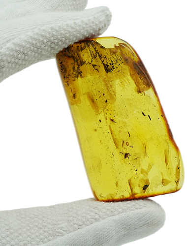 18,75 g  Amber Nugget with inclusion (1)