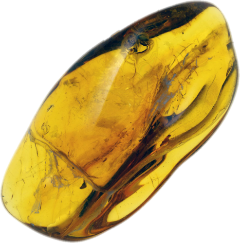 3,50 g Amber Nugget with inclusion (1)