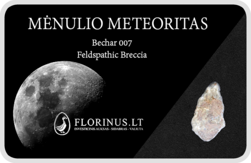 Mėnulio meteoritas (1)
