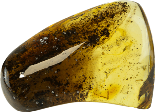 36,95 g Amber nugget (1)