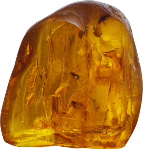 27 g Amber Nugget with inclusions (1)