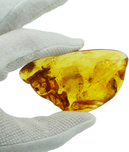 29,90 g Amber Nugget with inclusion (1)