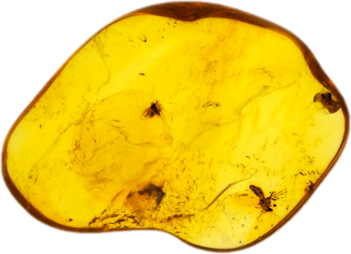 2,30 g Gintaro grynuolis su inkliuzais (1)