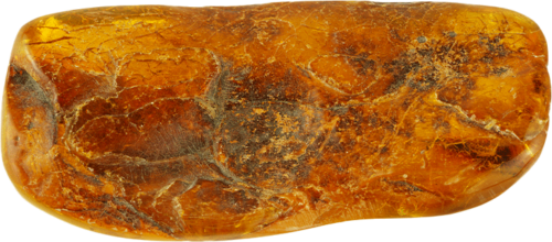 15,90 g Gintaro grynuolis su inkliuzu (3)