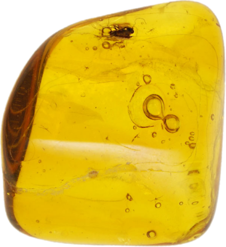 0,60 g Gintaro grynuolis su inkliuzu (1)