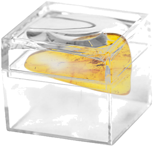 2,60 g Amber Nugget with inclusion (2)