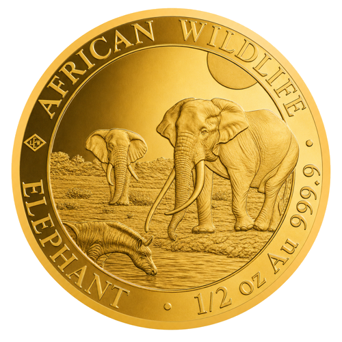 1/2 oz Elephant 2026 Somalia Gold Coin (1)