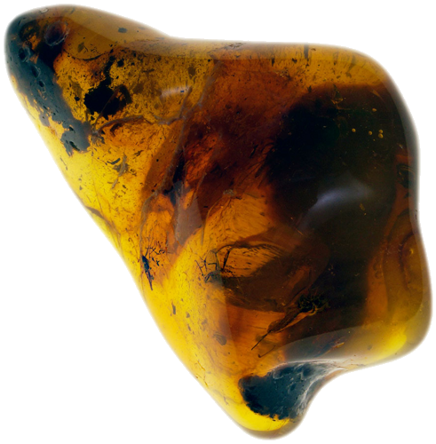 7,05 g Amber Nugget with inclusions (1)