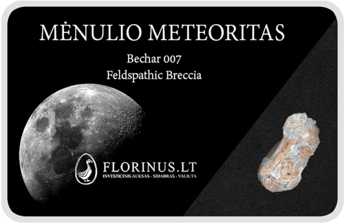 Lunar meteorīts (1)