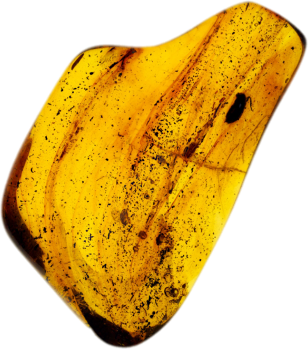 Самородок янтаря с инклюзом жука 12,25 г (1)