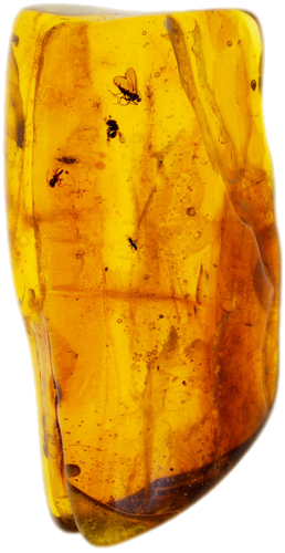 2,80 g Gintaro grynuolis su inkliuzais (1)