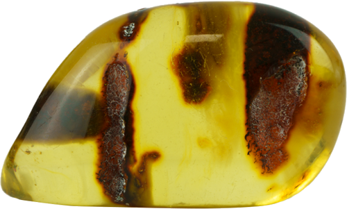 12.05 g Amber nugget (2)