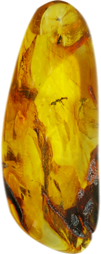 23,55 g Amber Nugget with inclusion (4)