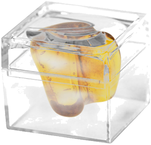 Самородок янтаря с инклюзом муравья 3,90 г (2)